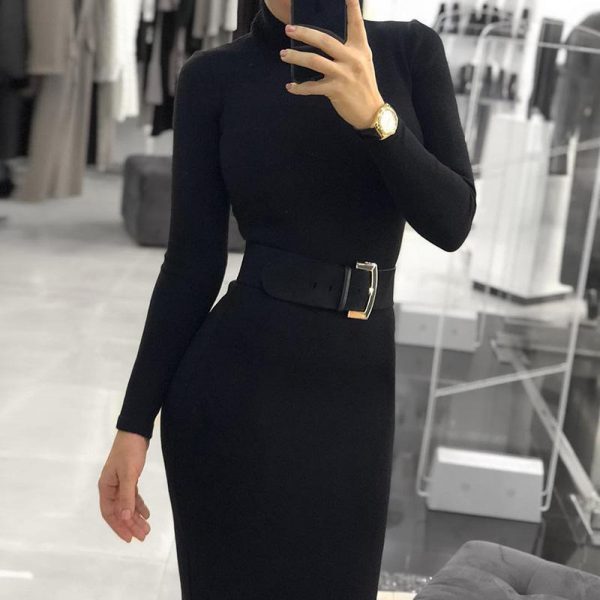 Fashion Autumn Women Turtleneck Long Sleeve Dress Solid Color Tight midi Dress Elegant slim fit high neck bodycon dresses - Takalr