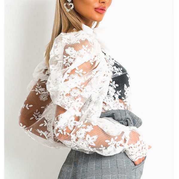 Women Lace Embroider Mesh Blouse Puffed Sleeve Blouse Shirts Long Sleeve Bow Tie Collar Shirt Blouse - Takalr