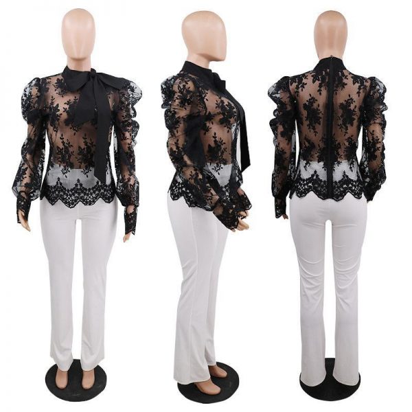 Women Lace Embroider Mesh Blouse Puffed Sleeve Blouse Shirts Long Sleeve Bow Tie Collar Shirt Blouse - Takalr