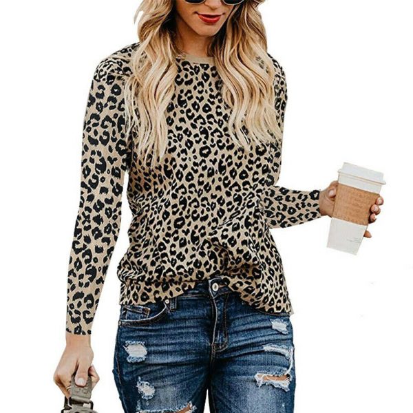 The Best Women's Long Sleeve Round Neck Pullover Tops T Shirt 2019 Autumn Ladies Casual Loose Shirt Outwear Streetwear Online - Takalr