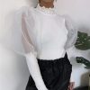 The Best Women's Sheer Tee Casual Blouse Shirt Autumn Lady Turtleneck Mesh Puff Sleeve Blouse Slim Clubwear Holiday Tops Online - Takalr