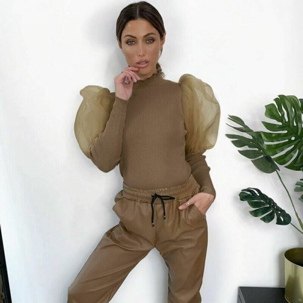 The Best Women's Sheer Tee Casual Blouse Shirt Autumn Lady Turtleneck Mesh Puff Sleeve Blouse Slim Clubwear Holiday Tops Online - Takalr