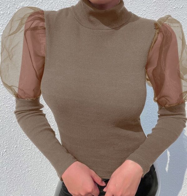 The Best Women's Sheer Tee Casual Blouse Shirt Autumn Lady Turtleneck Mesh Puff Sleeve Blouse Slim Clubwear Holiday Tops Online - Takalr