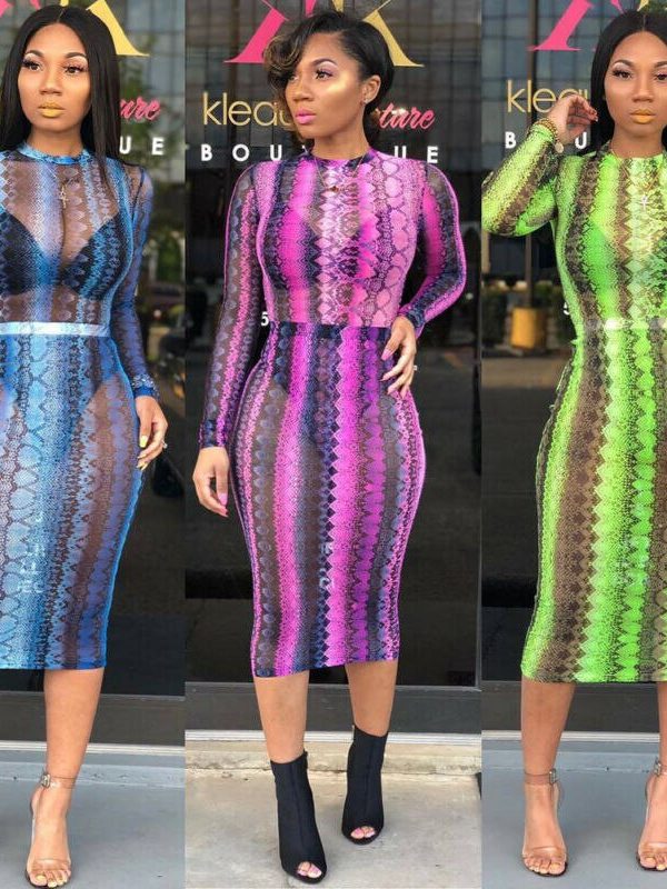 The Best Women's Snake Print Bodycon Sheer Mesh Dress Sexy Ladies Long Sleeve Party Club Slim Fit Dresses Sundress Online - Takalr