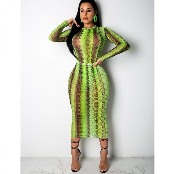 The Best Women's Snake Print Bodycon Sheer Mesh Dress Sexy Ladies Long Sleeve Party Club Slim Fit Dresses Sundress Online - Takalr