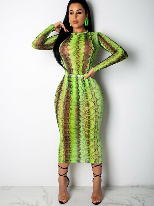 The Best Women's Snake Print Bodycon Sheer Mesh Dress Sexy Ladies Long Sleeve Party Club Slim Fit Dresses Sundress Online - Takalr