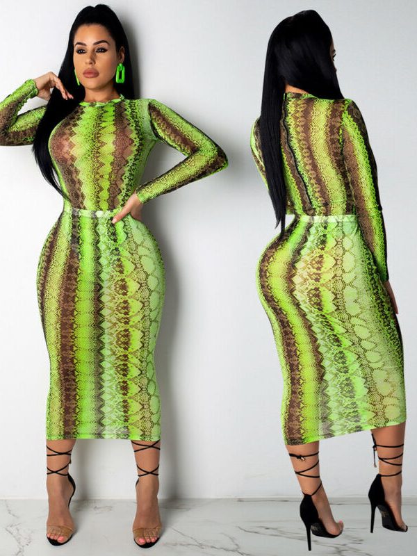 The Best Women's Snake Print Bodycon Sheer Mesh Dress Sexy Ladies Long Sleeve Party Club Slim Fit Dresses Sundress Online - Takalr