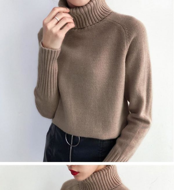 The Best Autumn Winter Cashmere Knitted Women Sweater And Pullover Female Online - Takalr