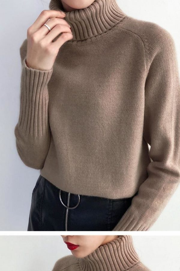 The Best Autumn Winter Cashmere Knitted Women Sweater And Pullover Female Online - Takalr