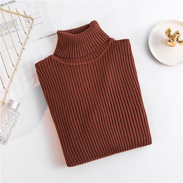 The Best Autumn winter Women Knitted Turtleneck Sweater Soft Elasticity Pullovers Online - Takalr