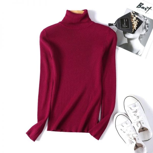 The Best Autumn winter Women Knitted Turtleneck Sweater Soft Elasticity Pullovers Online - Takalr