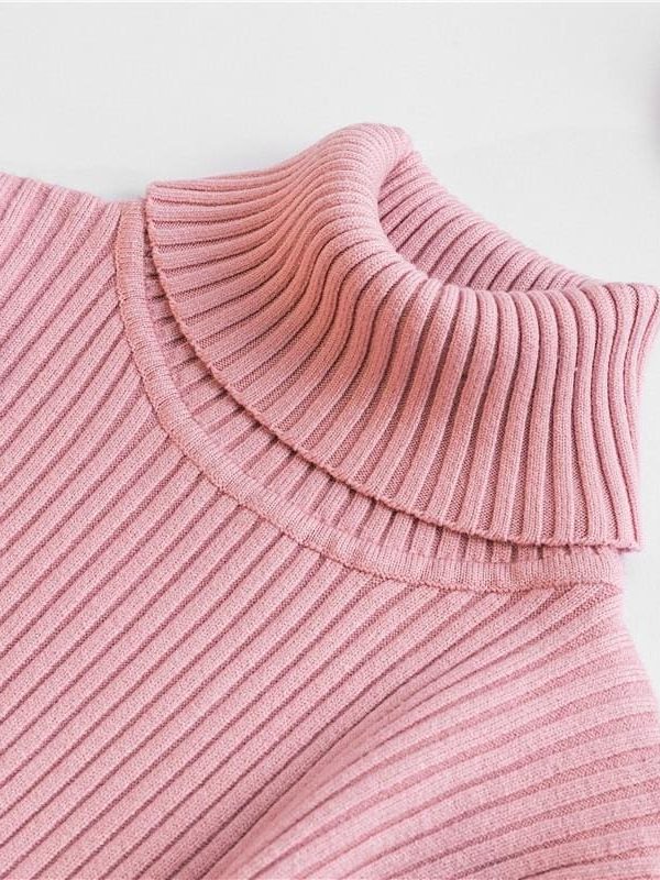 The Best Autumn winter Women Knitted Turtleneck Sweater Soft Elasticity Pullovers Online - Takalr