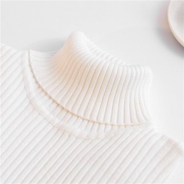 The Best Autumn winter Women Knitted Turtleneck Sweater Soft Elasticity Pullovers Online - Takalr