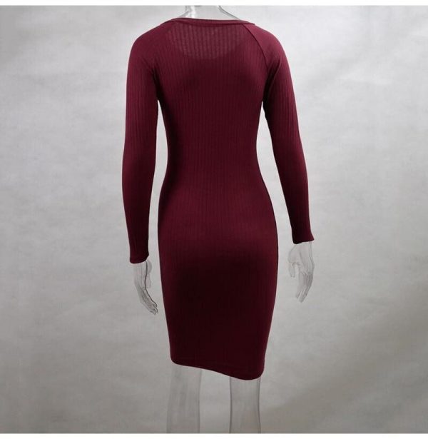 The Best Autumn Women Bodycon Sheath Dress Knitted Cotton Long Sleeve Dresses Online - Takalr