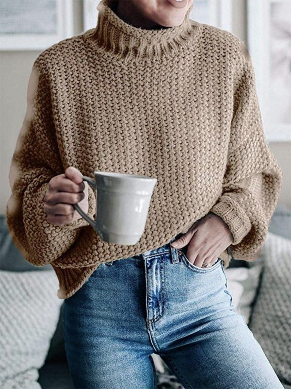 The Best Elegant Sweater Pullovers Women Autumn Winter Warm Lose Pullovers Online - Takalr