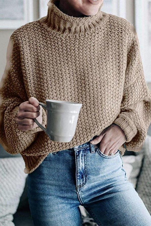 The Best Elegant Sweater Pullovers Women Autumn Winter Warm Lose Pullovers Online - Takalr