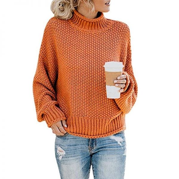 The Best Elegant Sweater Pullovers Women Autumn Winter Warm Lose Pullovers Online - Takalr