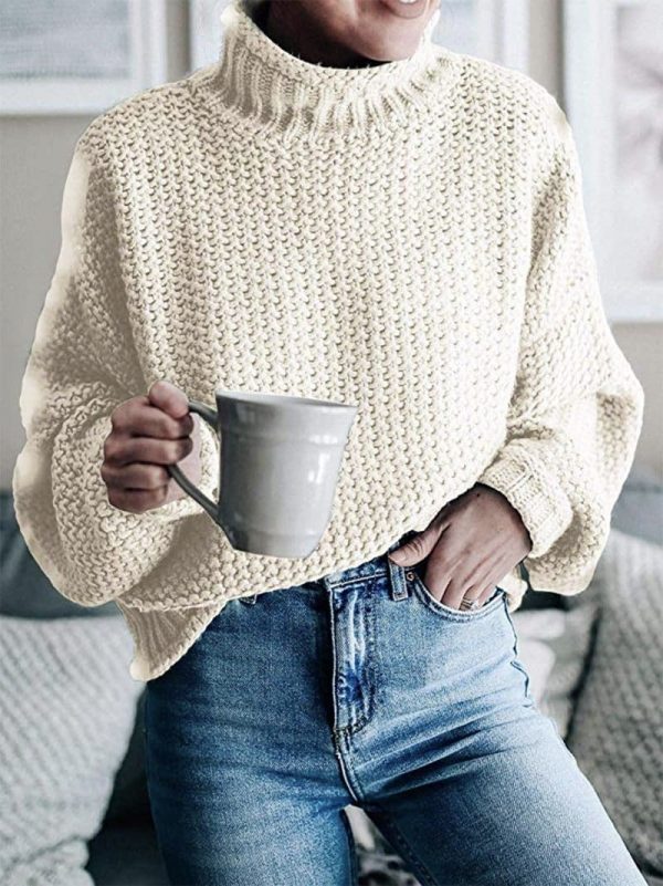 The Best Elegant Sweater Pullovers Women Autumn Winter Warm Lose Pullovers Online - Takalr