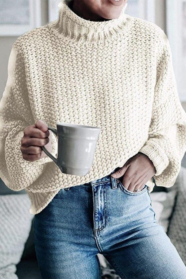 The Best Elegant Sweater Pullovers Women Autumn Winter Warm Lose Pullovers Online - Takalr