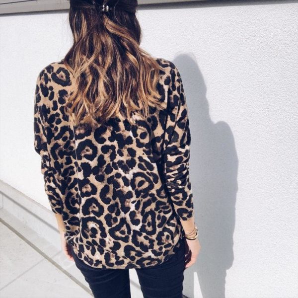 The Best Fashion Women Autumn V neck Tops Ladies Leopard Loose Tee Shirt Femme Long Sleeve Casual T-Shirt Streetwear Online - Takalr