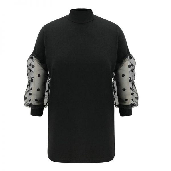 The Best Fashion Women Turtle Neck Mesh Polka Dot Long Sheer Sleeve Sweater Top Ladies Autumn Winter Casual Pullover Blouse Shirt Dress Online - Takalr