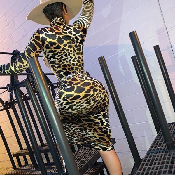 The Best Fashion Women's Long Sleeve Bodycon Dress Sexy Ladies High Neck Party Slim Fitness Leopard Printed Dresses Online - Takalr