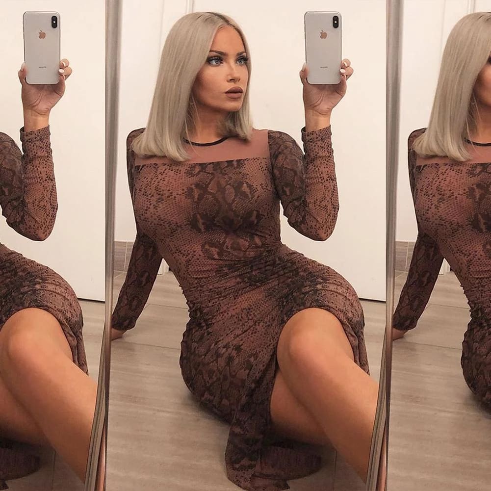 Women Long Sleeve Bodycon Leopard Dress Mesh See-through Party Evening Club Slim Fit Maxi Dress