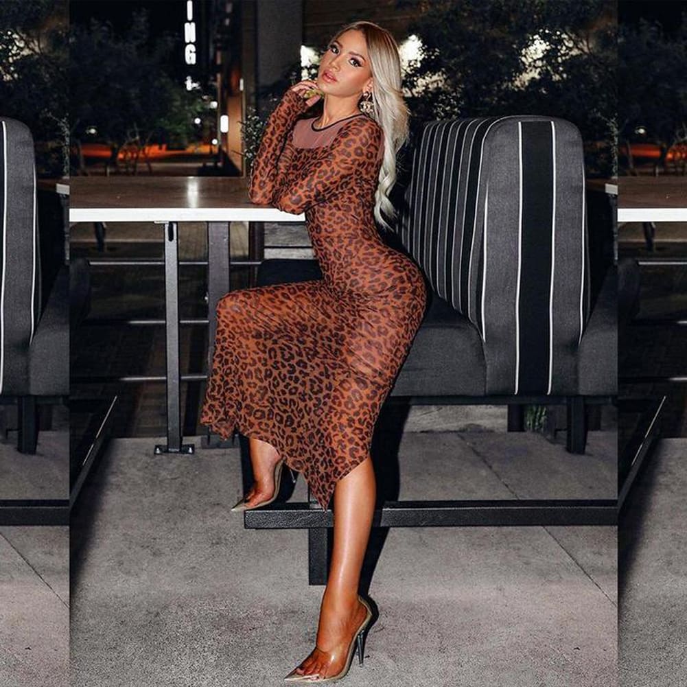 Women Long Sleeve Bodycon Leopard Dress Mesh See-through Party Evening Club Slim Fit Maxi Dress