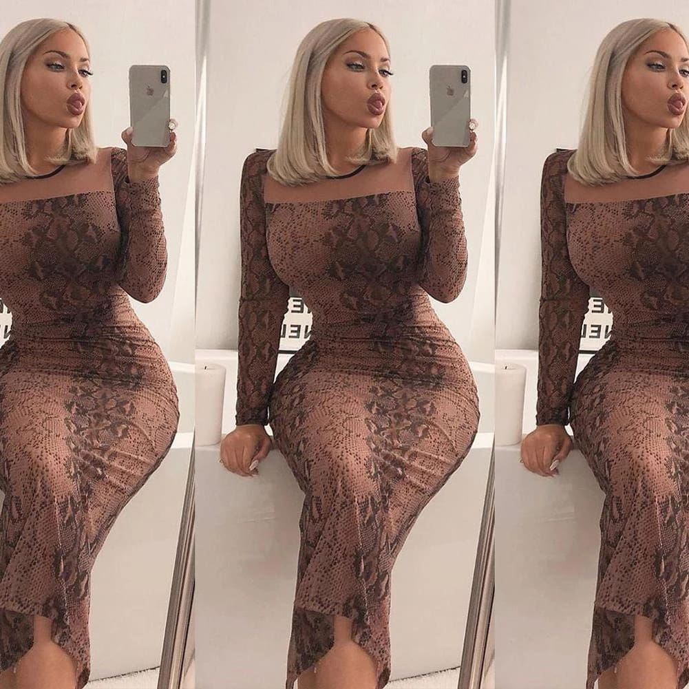 Women Long Sleeve Bodycon Leopard Dress Mesh See-through Party Evening Club Slim Fit Maxi Dress