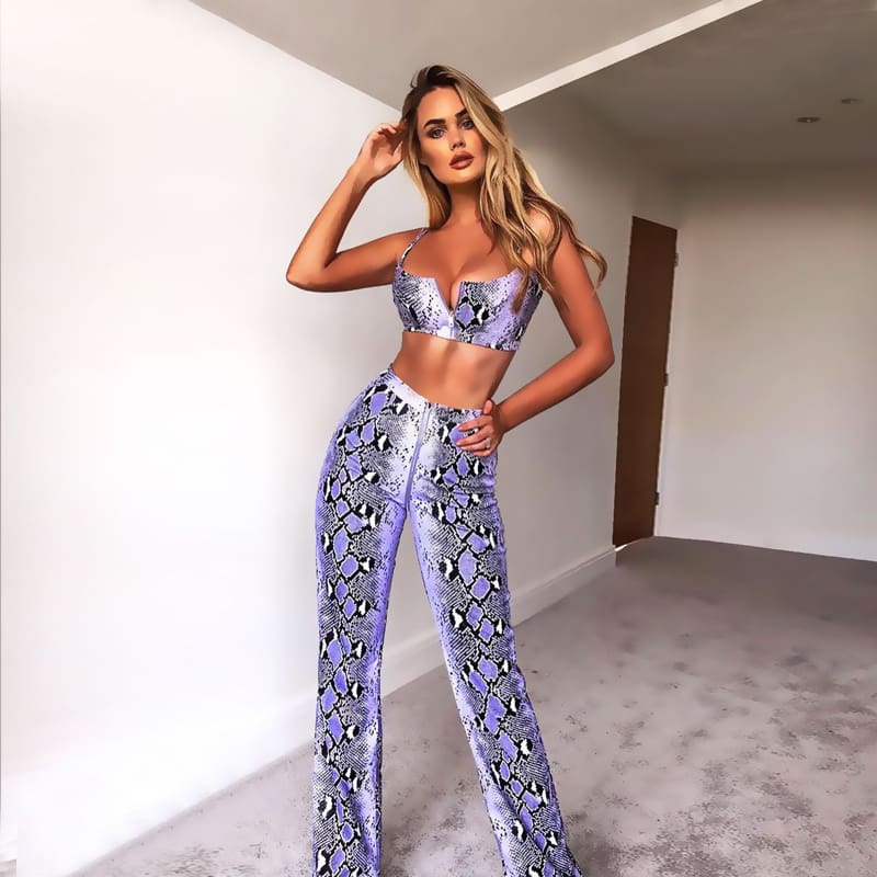 Snake Print Two Piece Set Women Evening Party Club Bandage Sleeveless Crop Top and Pant Snakeskin Suit Clothes set Streetwear