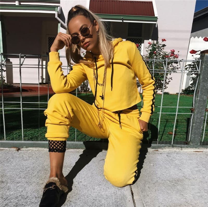 New 2019 2Pcs Women Harvest Ladies Wrap Sweater Hoodies Trousers Fashion Leisure Wear Sets Casual Clothing Suit Set