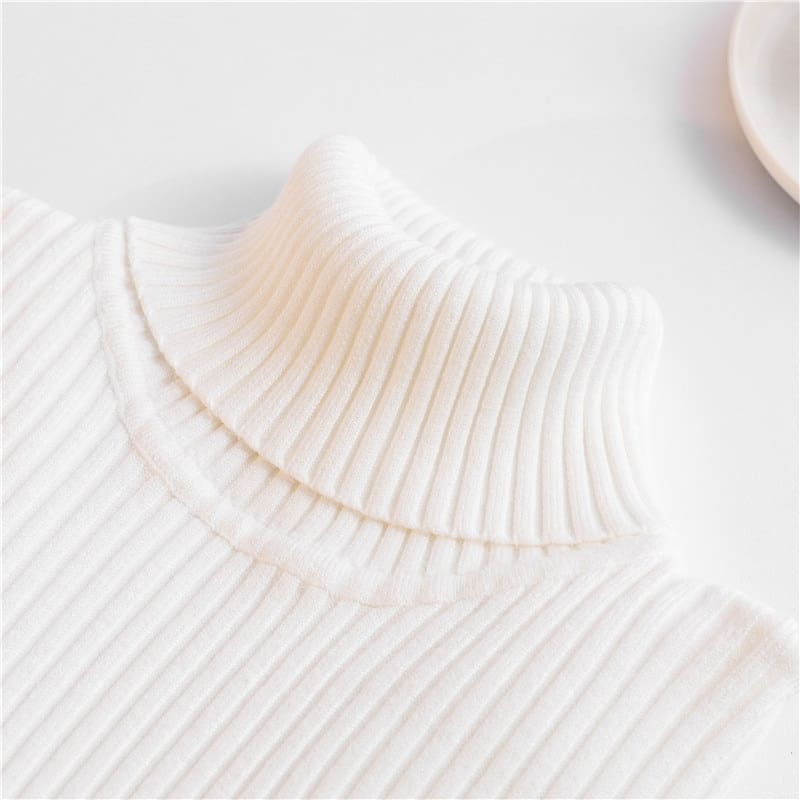 Autumn winter Women Knitted Turtleneck Sweater Soft Elasticity Pullovers