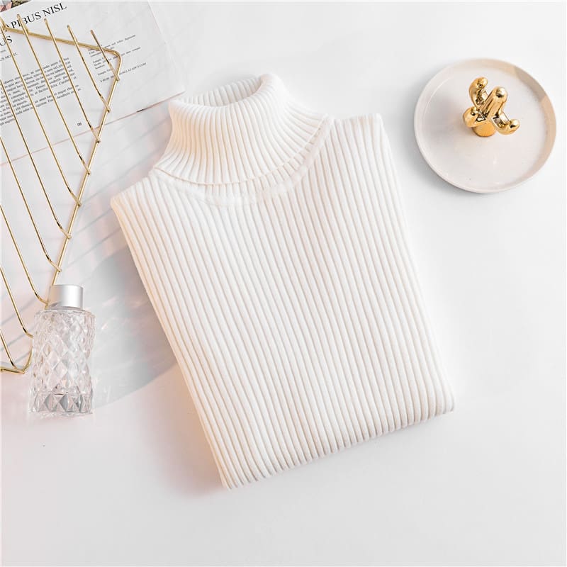 Autumn winter Women Knitted Turtleneck Sweater Soft Elasticity Pullovers