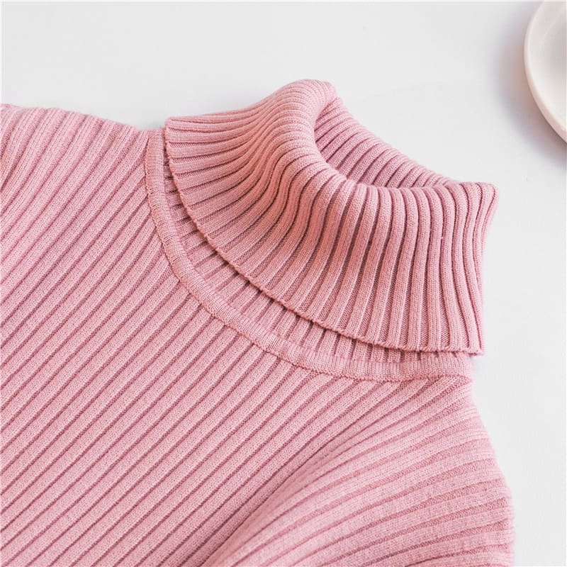 Autumn winter Women Knitted Turtleneck Sweater Soft Elasticity Pullovers