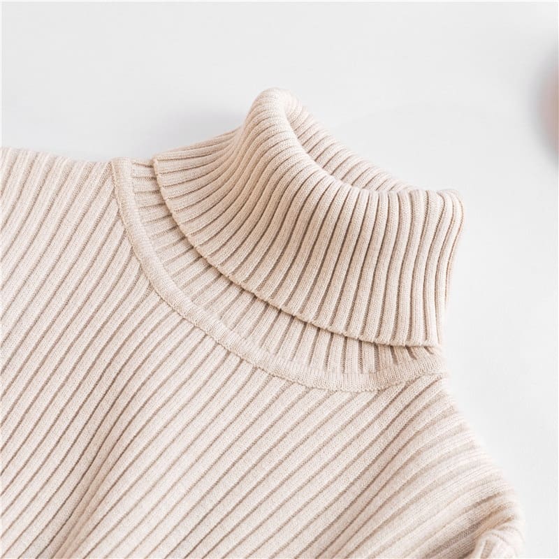 Autumn winter Women Knitted Turtleneck Sweater Soft Elasticity Pullovers