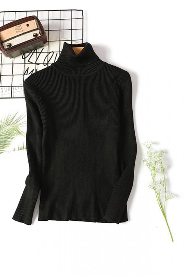 The Best Long Sleeve Ribbed Sweater for Women Warm Pullover Knitted Sweater Online - Takalr