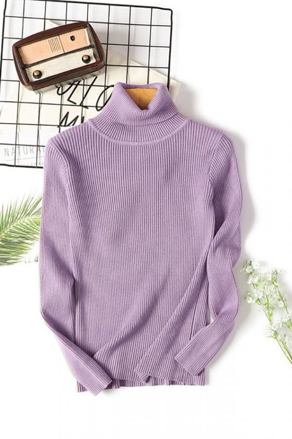 The Best Long Sleeve Ribbed Sweater for Women Warm Pullover Knitted Sweater Online - Takalr