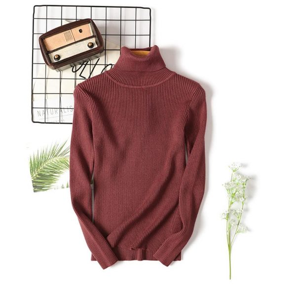 The Best Long Sleeve Ribbed Sweater for Women Warm Pullover Knitted Sweater Online - Takalr