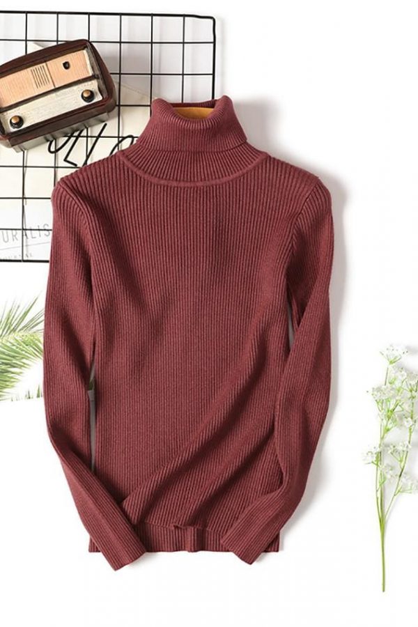 The Best Long Sleeve Ribbed Sweater for Women Warm Pullover Knitted Sweater Online - Takalr