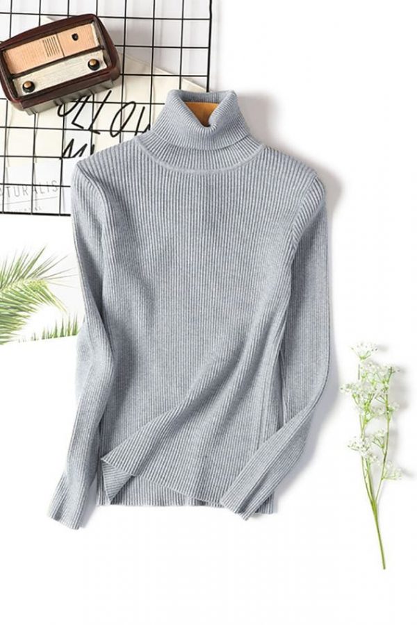 The Best Long Sleeve Ribbed Sweater for Women Warm Pullover Knitted Sweater Online - Takalr