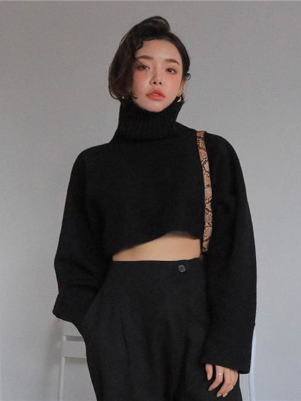 The Best Retro Turtleneck Women Sweater Long Sleeve High Waist Knitted Pullover Online - Takalr