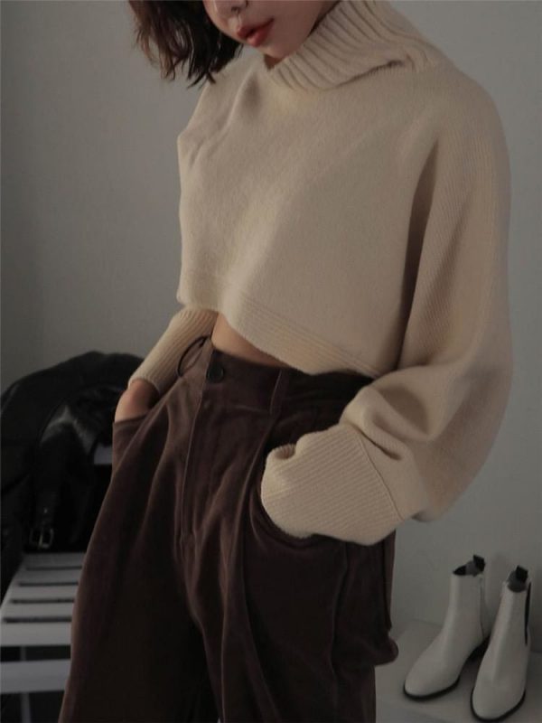 The Best Retro Turtleneck Women Sweater Long Sleeve High Waist Knitted Pullover Online - Takalr