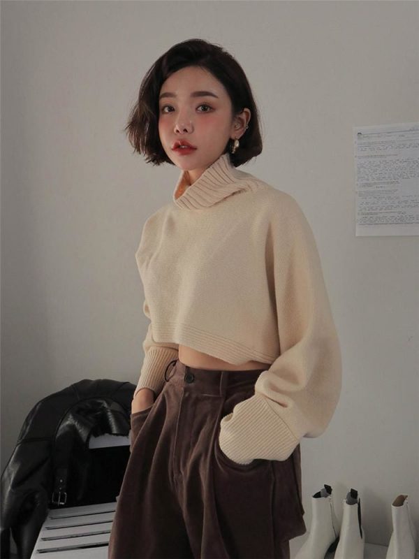 The Best Retro Turtleneck Women Sweater Long Sleeve High Waist Knitted Pullover Online - Takalr