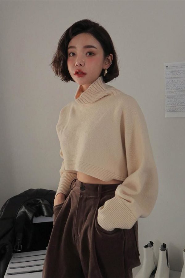 The Best Retro Turtleneck Women Sweater Long Sleeve High Waist Knitted Pullover Online - Takalr