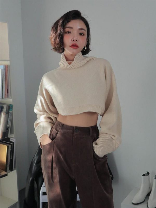 The Best Retro Turtleneck Women Sweater Long Sleeve High Waist Knitted Pullover Online - Takalr