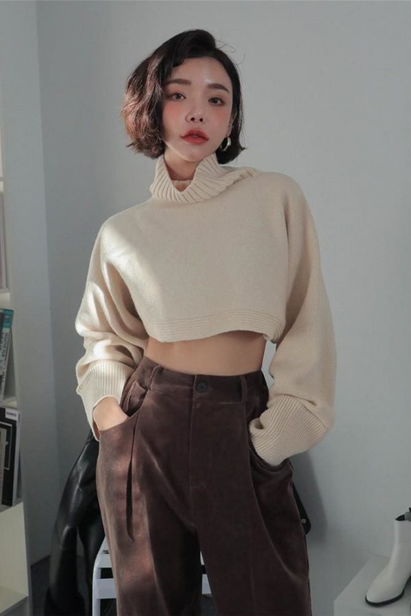 The Best Retro Turtleneck Women Sweater Long Sleeve High Waist Knitted Pullover Online - Takalr