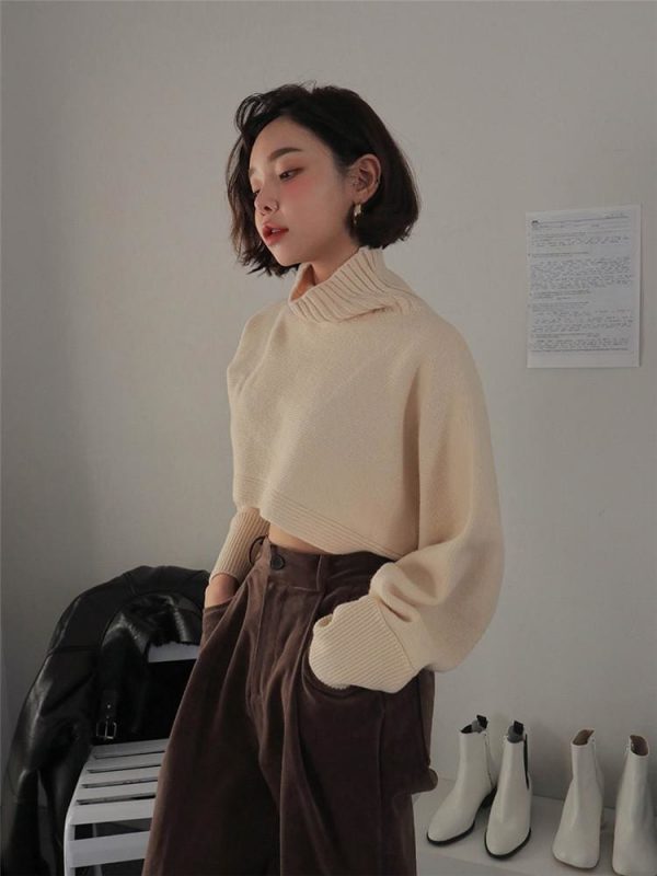 The Best Retro Turtleneck Women Sweater Long Sleeve High Waist Knitted Pullover Online - Takalr