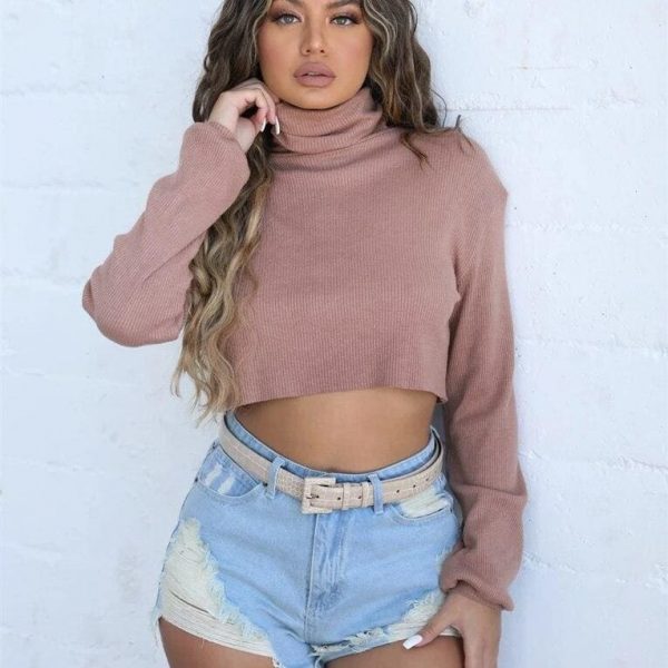 The Best Women Autumn Turtleneck Long Sleeve Sweater Fashion New Sweatshirt Knitwear Ladies Knitted Casual Jumper Pullover Tops Online - Takalr