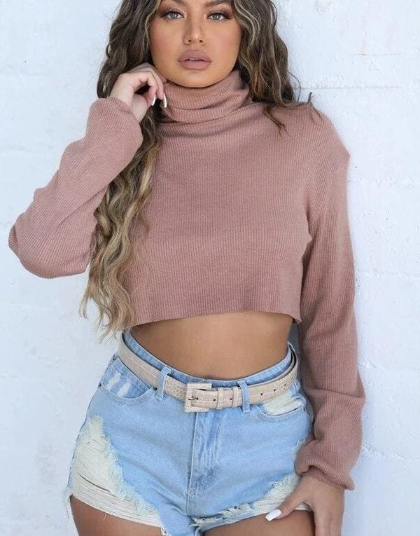 The Best Women Autumn Turtleneck Long Sleeve Sweater Fashion New Sweatshirt Knitwear Ladies Knitted Casual Jumper Pullover Tops Online - Takalr