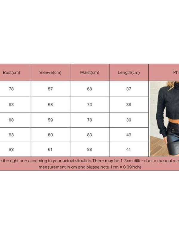 The Best Women Autumn Turtleneck Long Sleeve Sweater Fashion New Sweatshirt Knitwear Ladies Knitted Casual Jumper Pullover Tops Online - Takalr